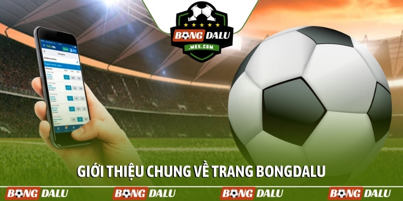 Giới thiệu chung về trang bongdalu