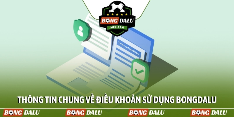 Thông tin chung về điều khoản sử dụng Bongdalu